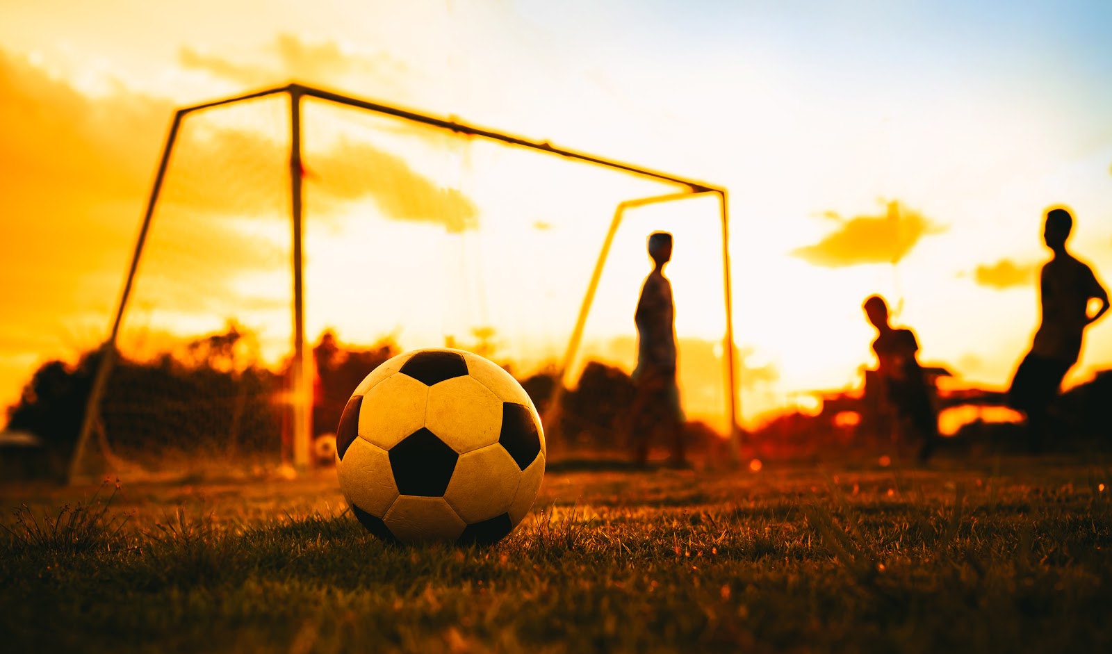 soccer ball on field